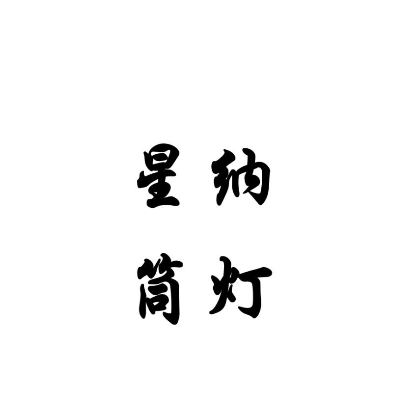 中山市星纳筒灯射灯工厂