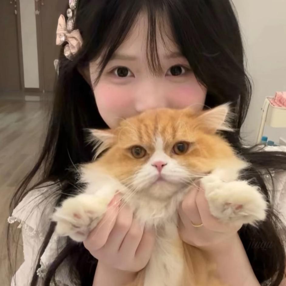甜甜圈🍩