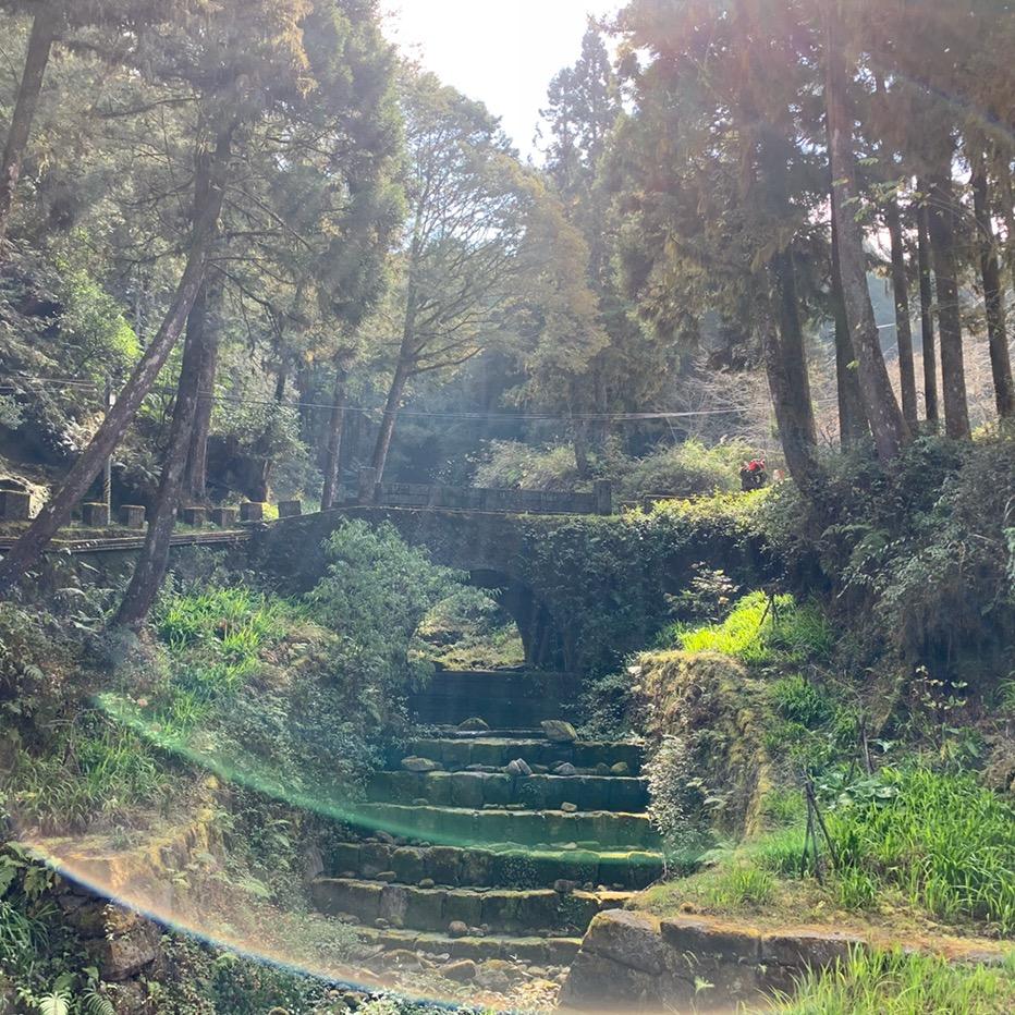 🎀珊珊古筝课堂🎀