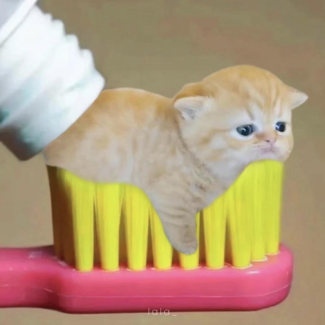 芝麻糊（恨所有人版）