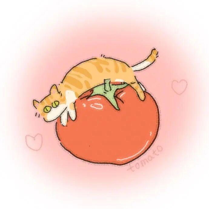 多多（装修版）