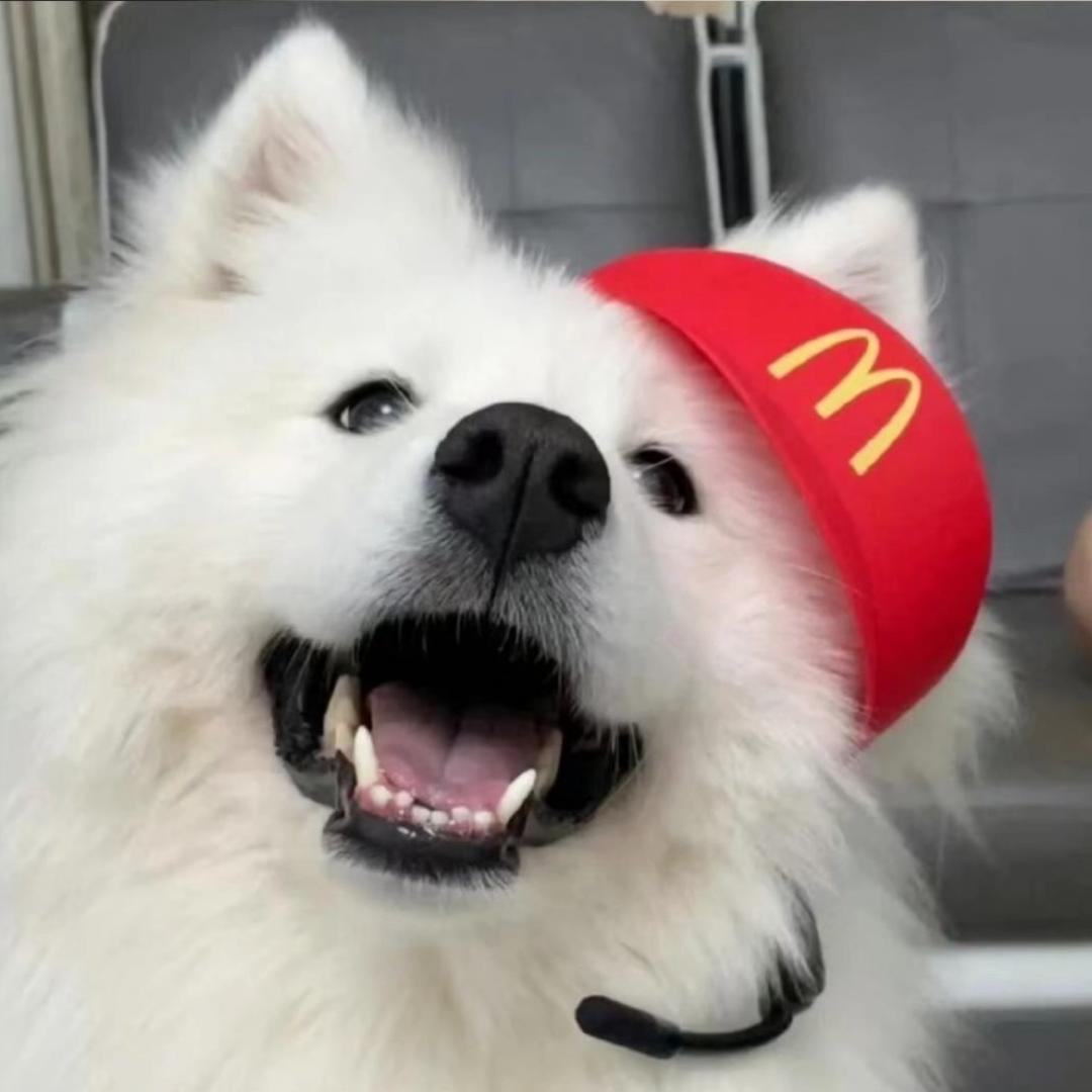 77麦当劳🍔
