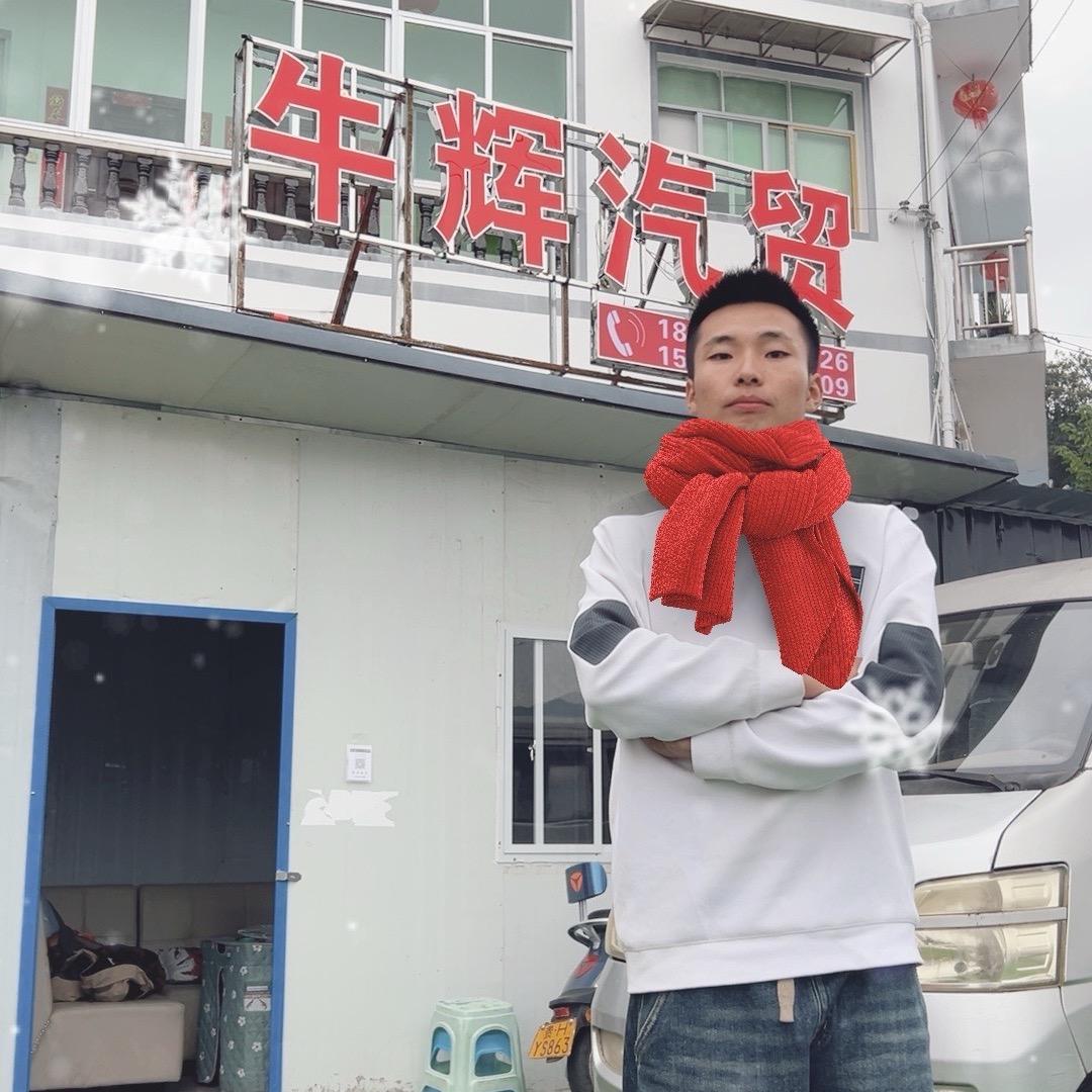 农村小伙淘车