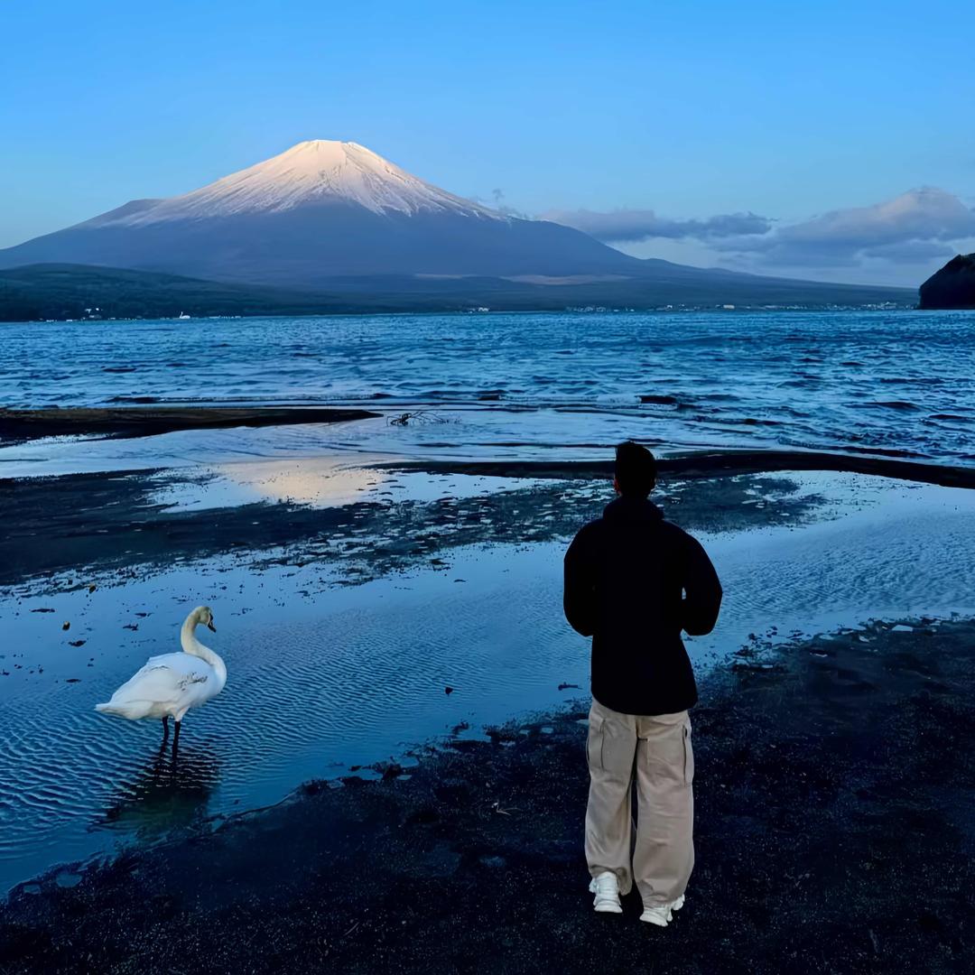 𝑍𝑢𝑢𝑢𝑖_