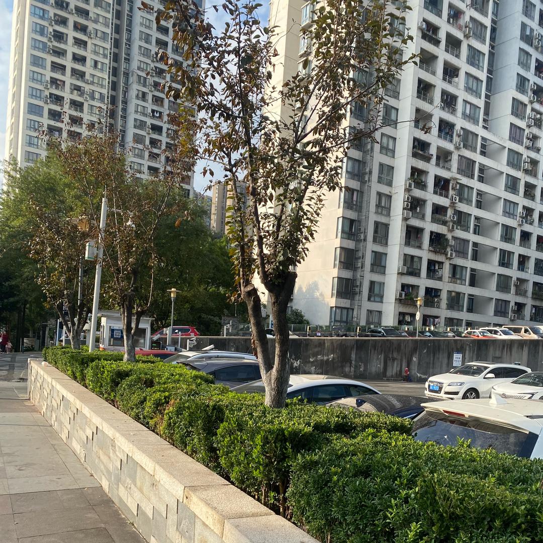 舍  予