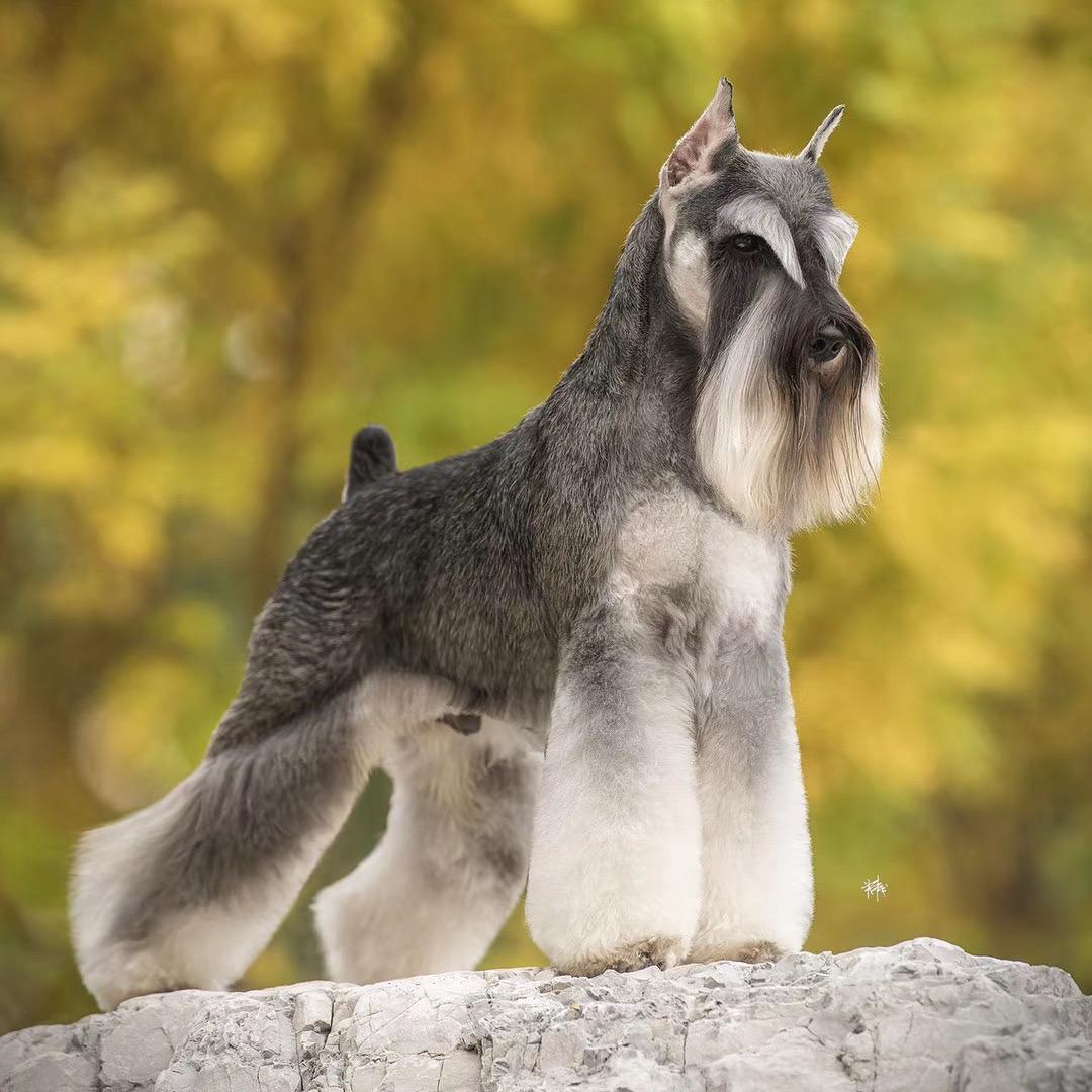 飒小妞和她的小伙伴们