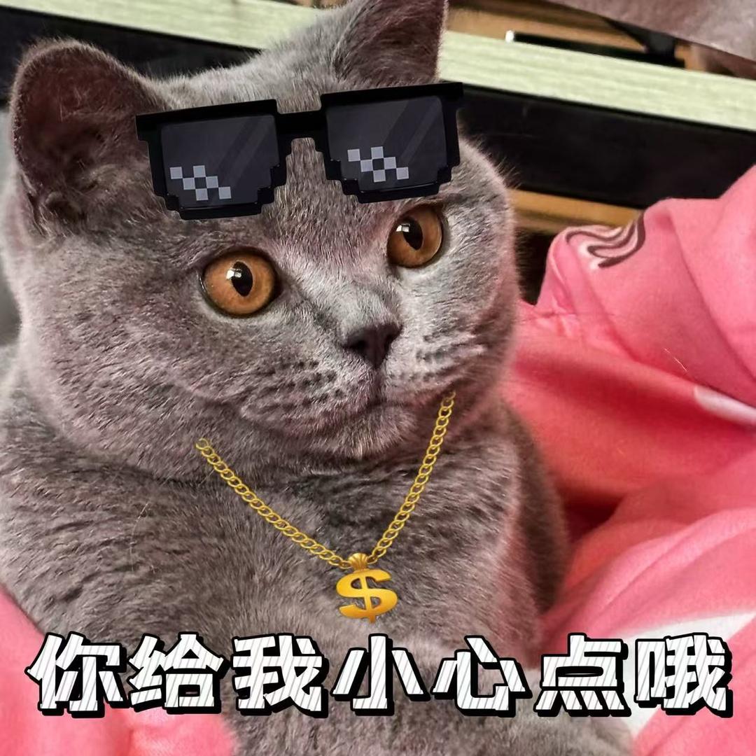 A5计划