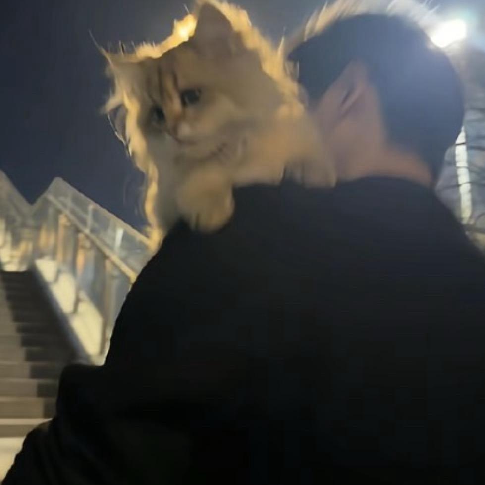 我爱数分高代！
