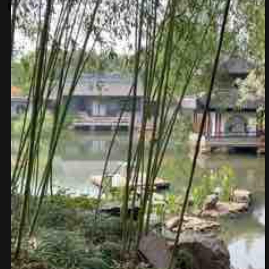 静心师太