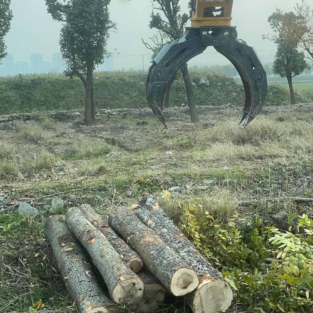 Y−龙威（收树）