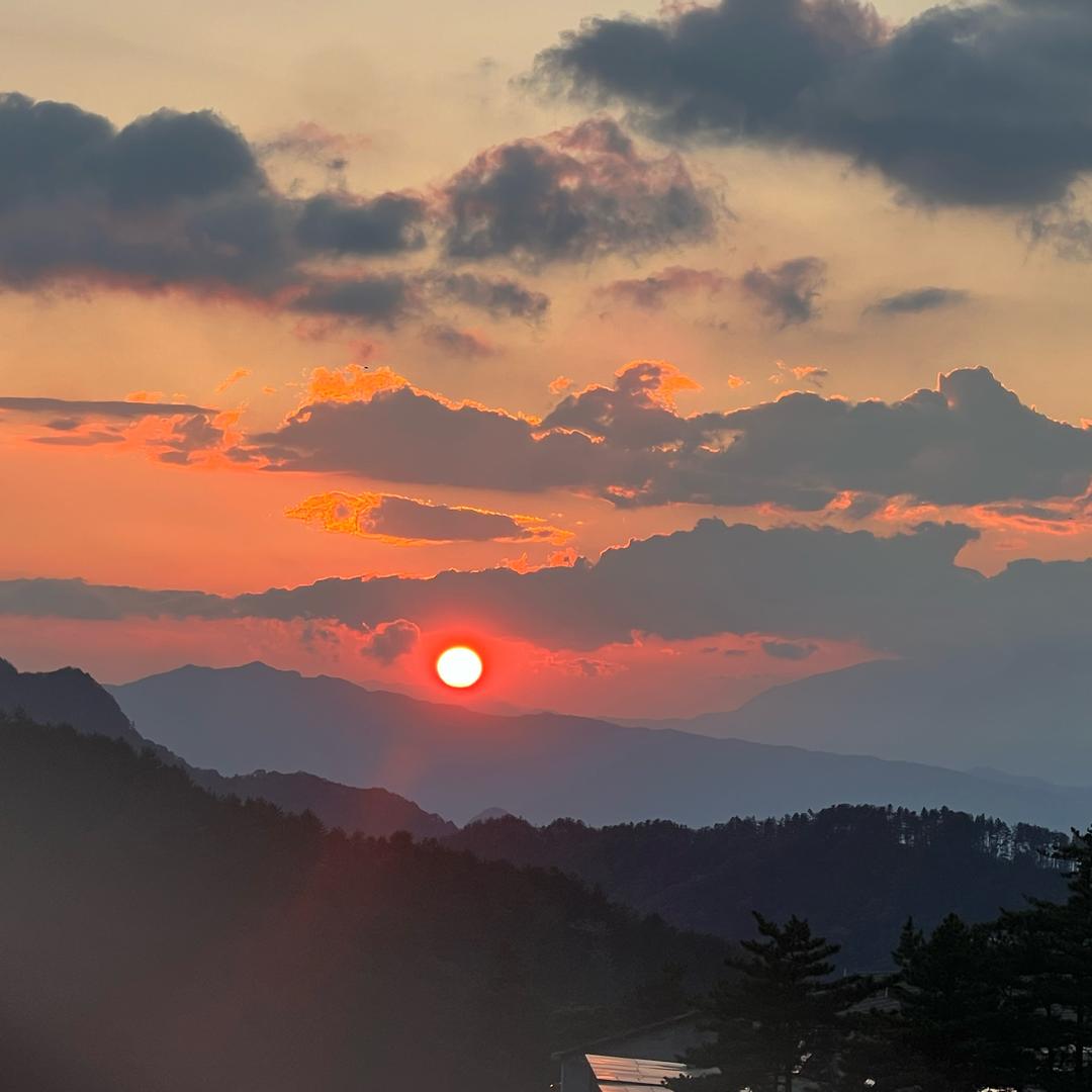 朝朝