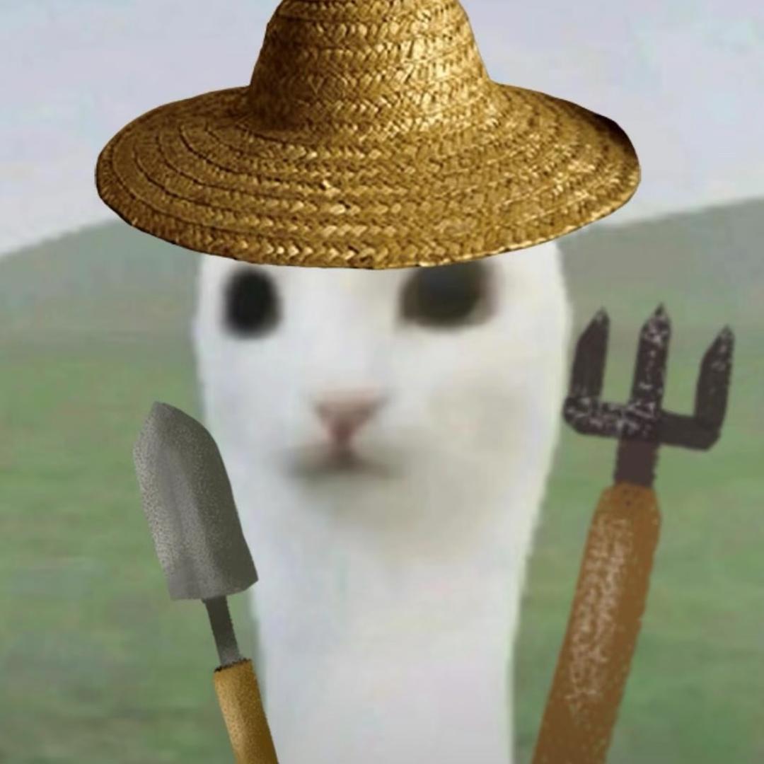 千舞