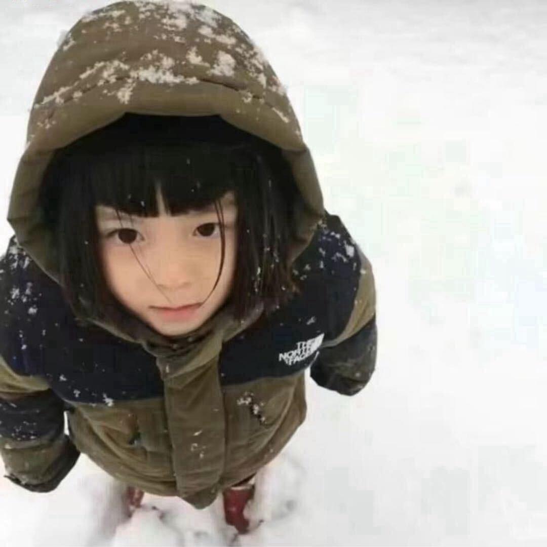 皮皮狗