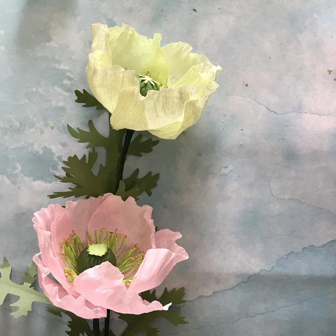 我的花园世界