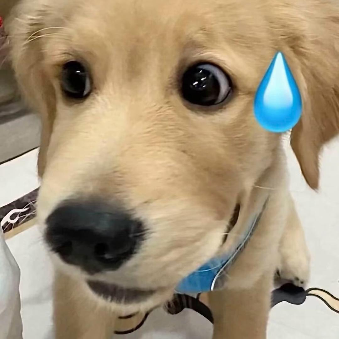 爱7苹果