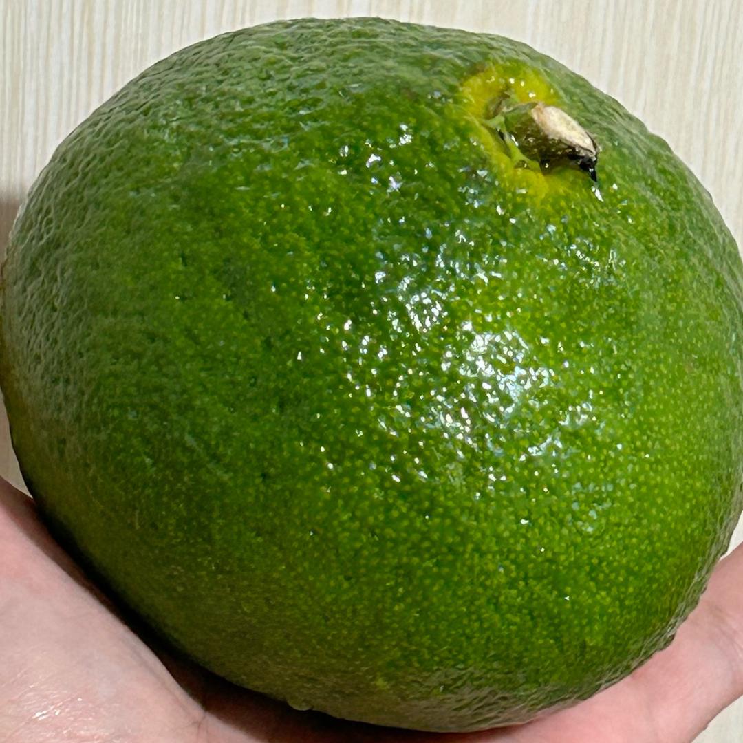 给你出个馊主意