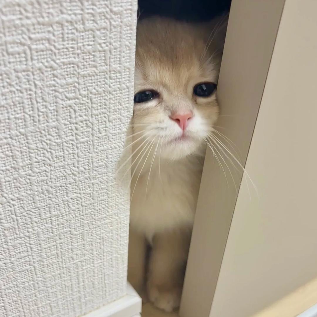江南客服外包