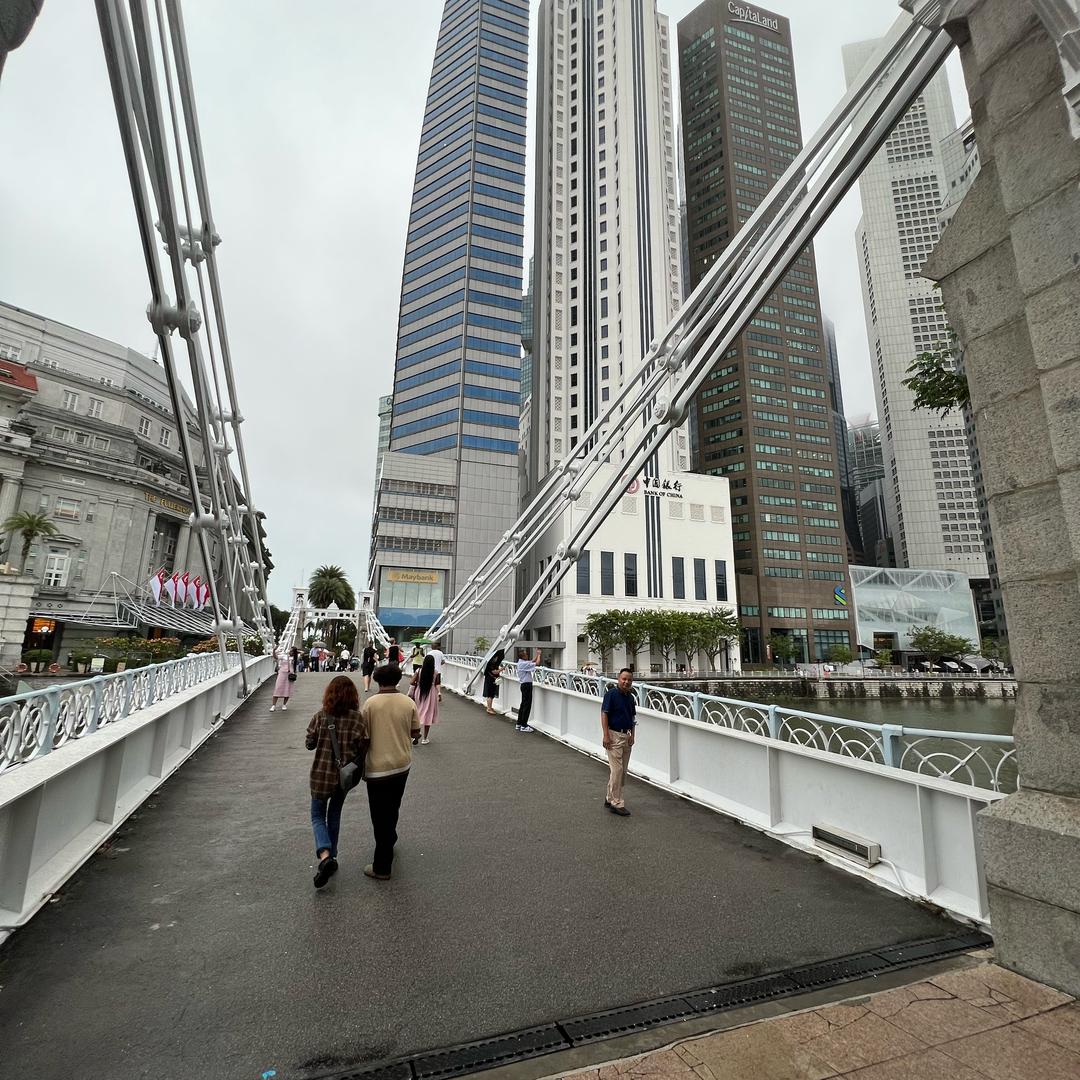 凤伴龍翔行