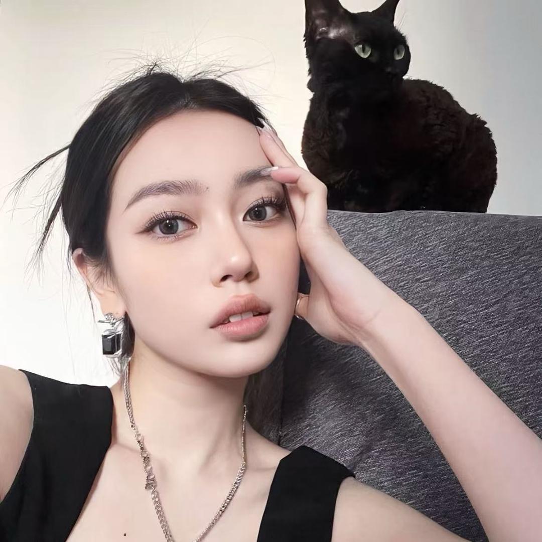 小鲨鱼来no