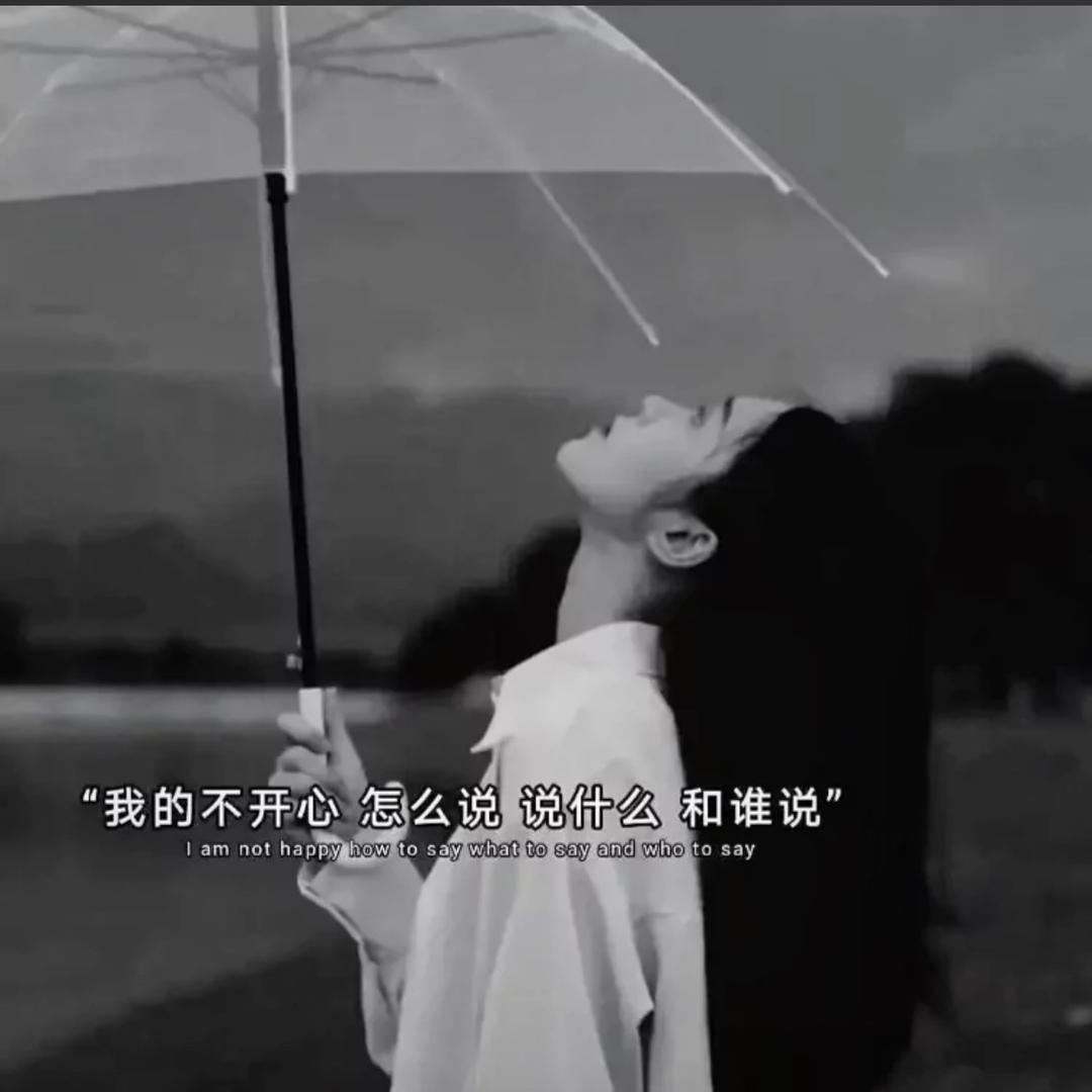 毛毛雨cx