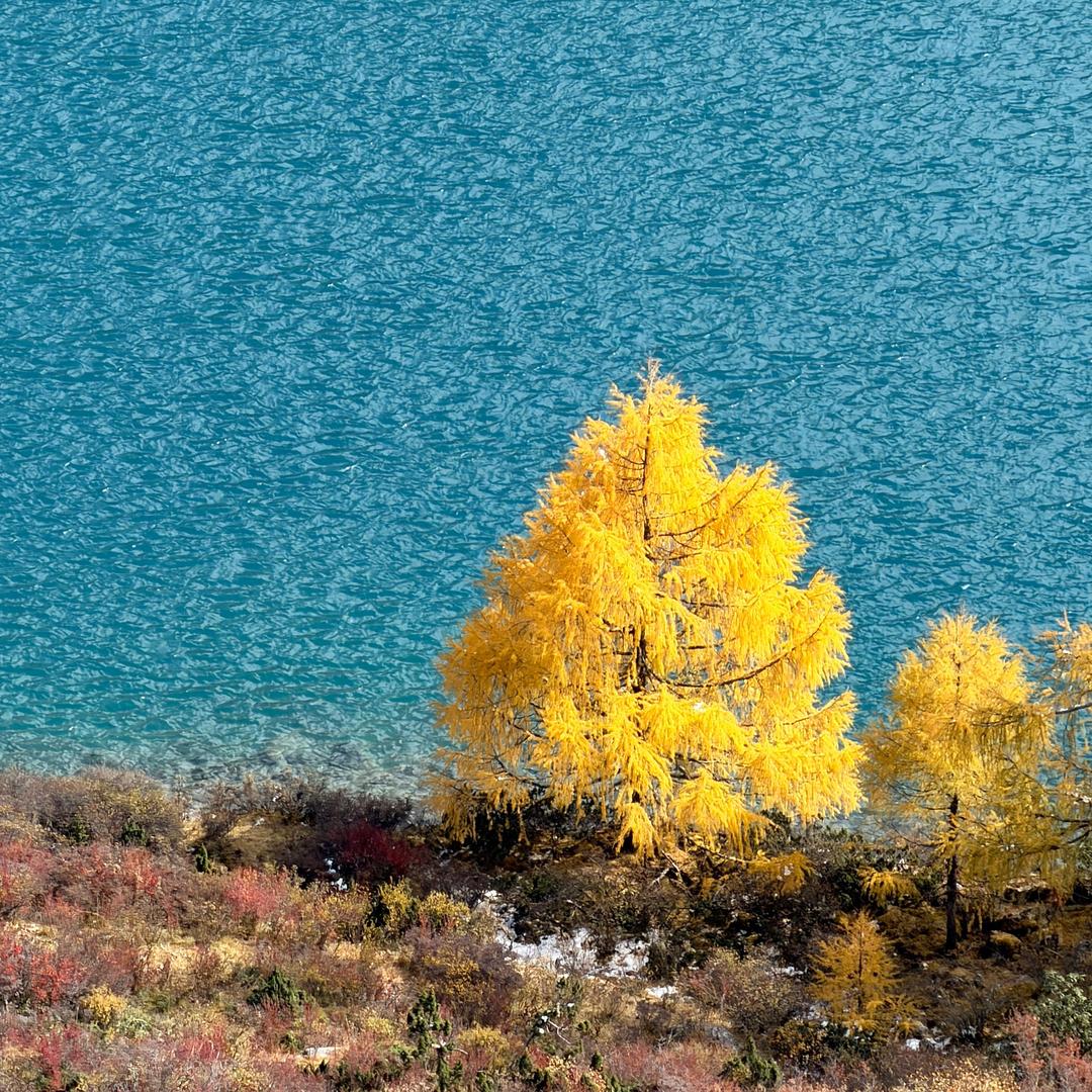 双木的旅拍📷