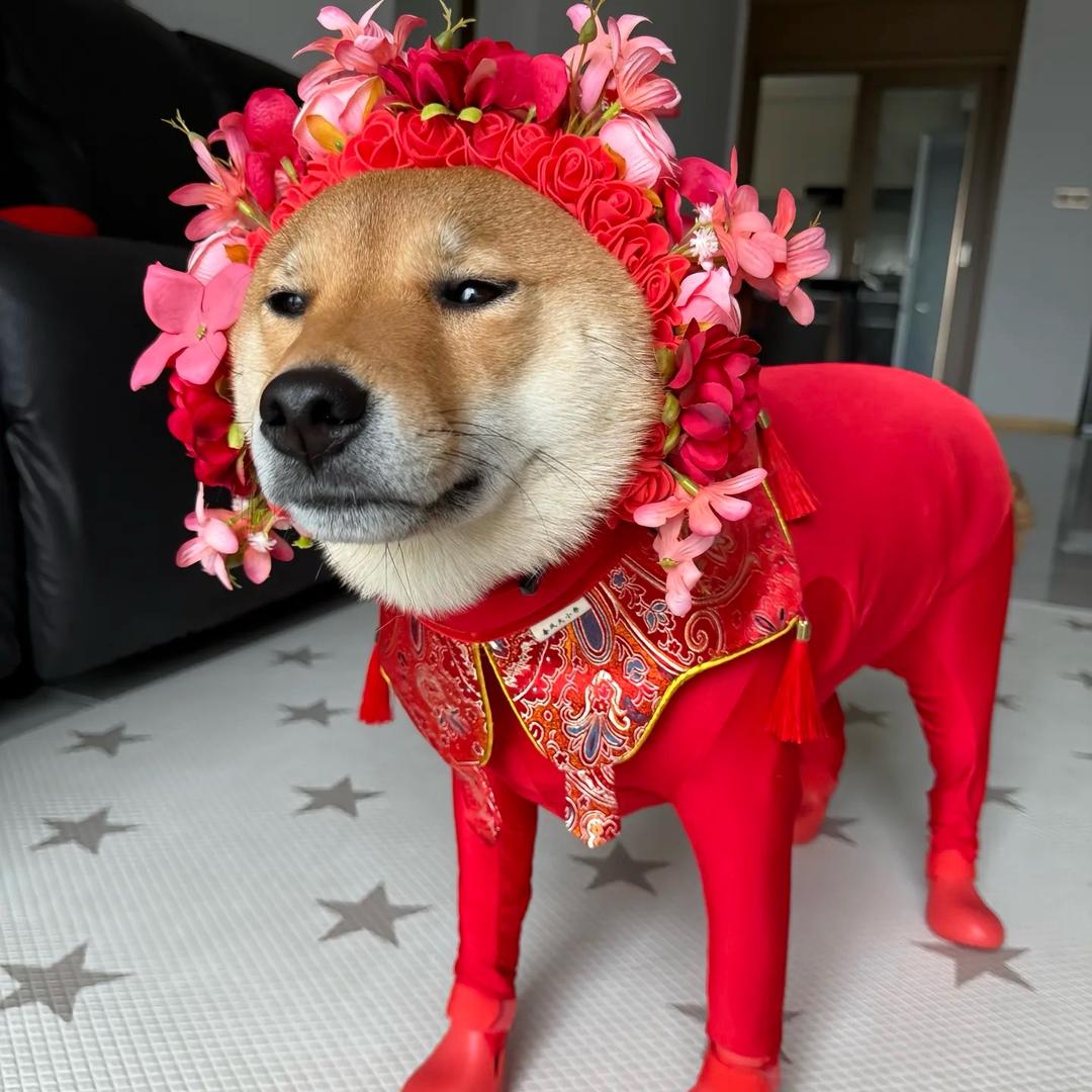 芽芽子.
