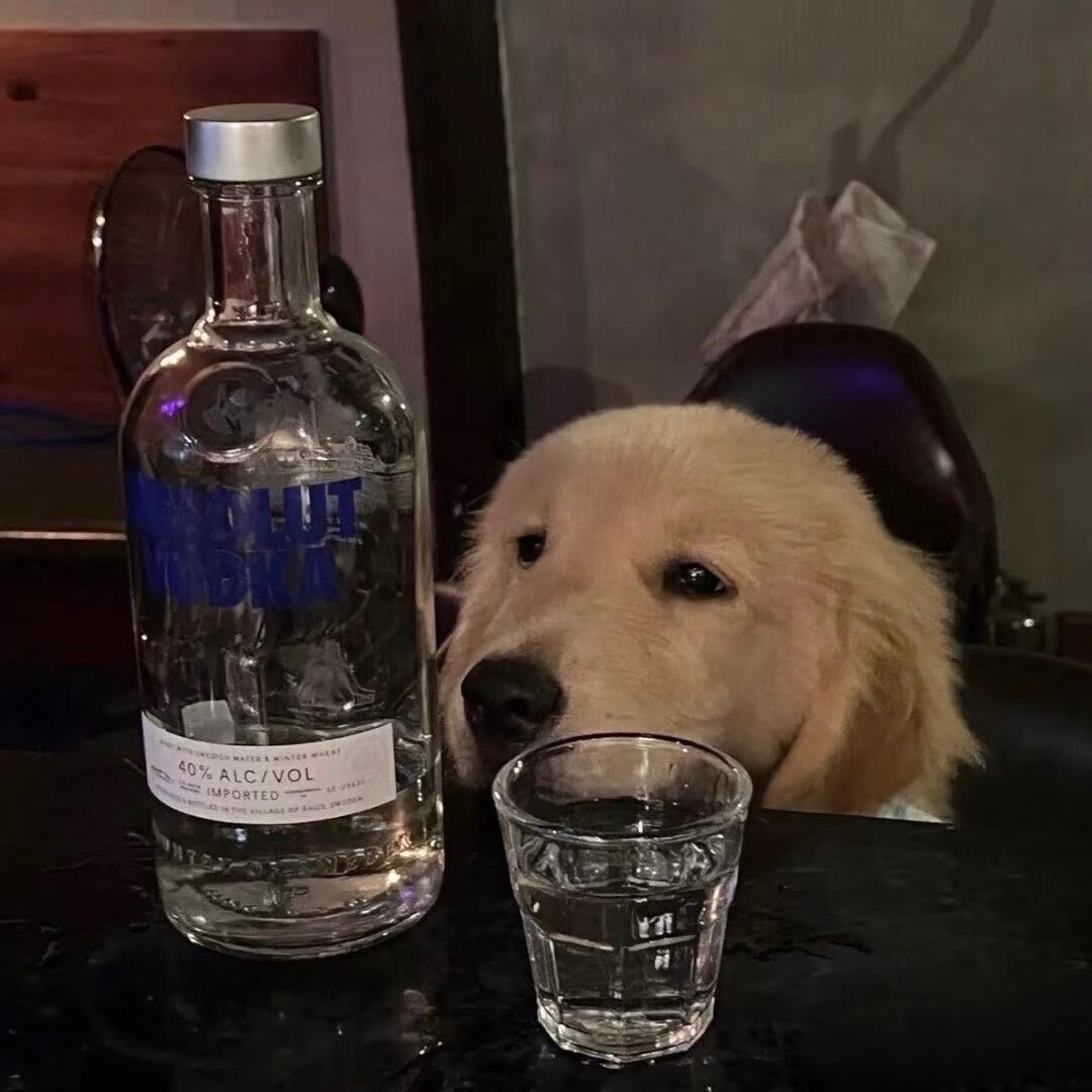沐橙笑谈