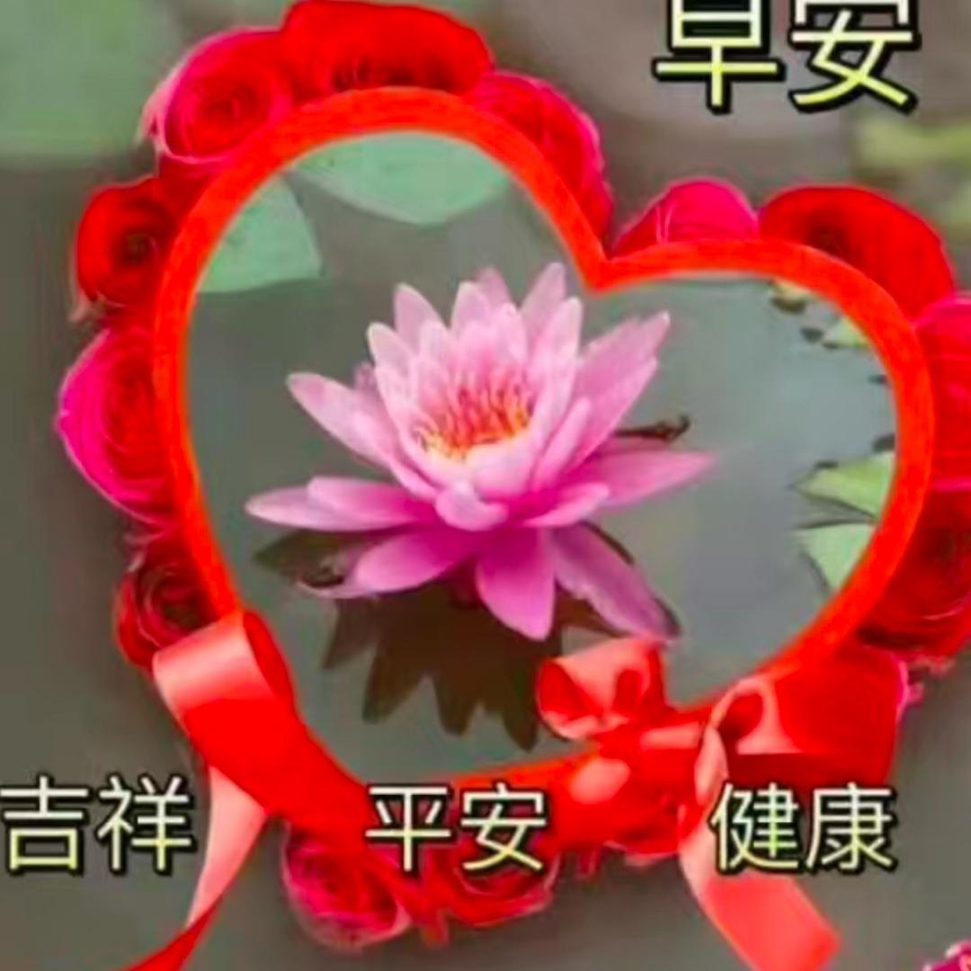 平安姐