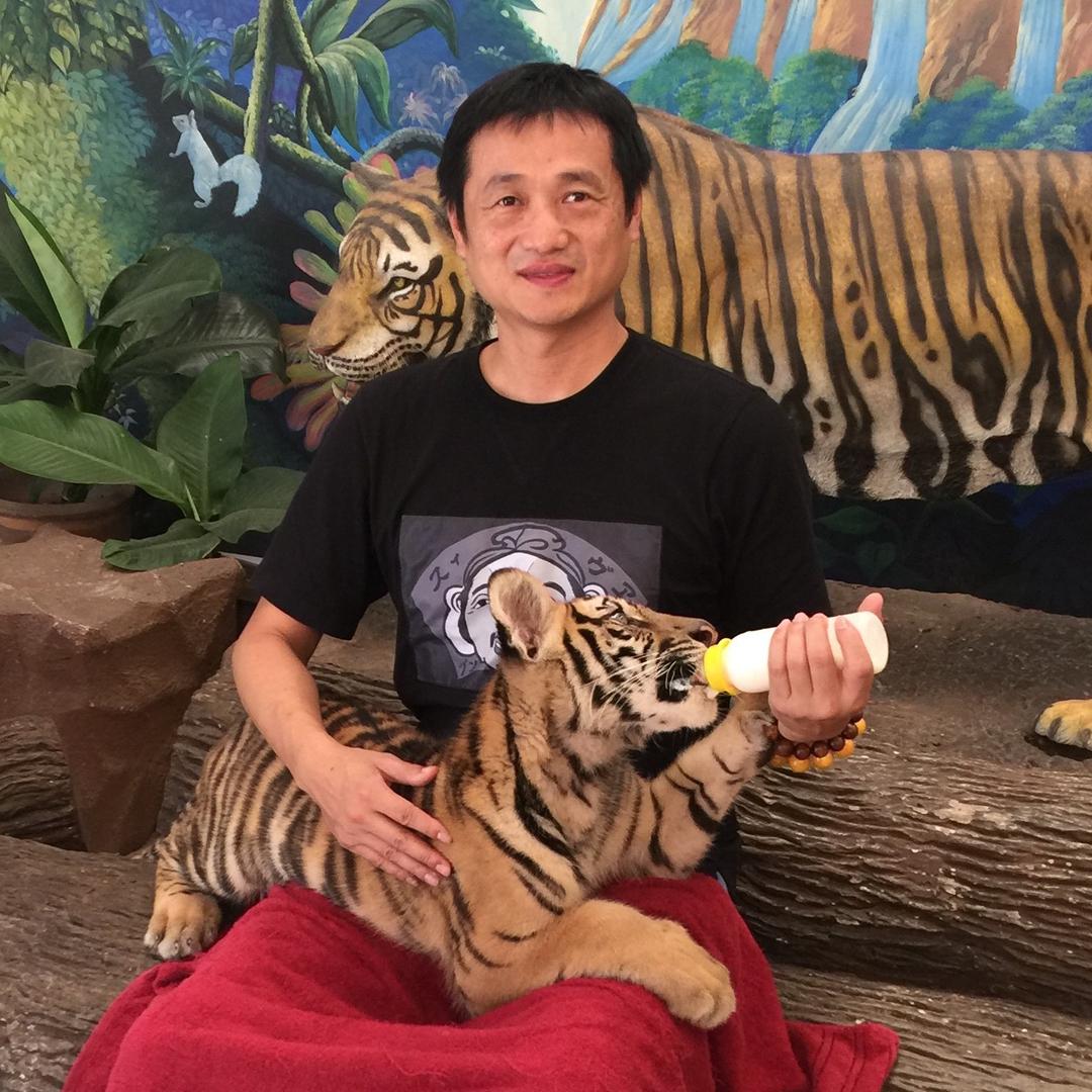 💚涅槃重生❤️