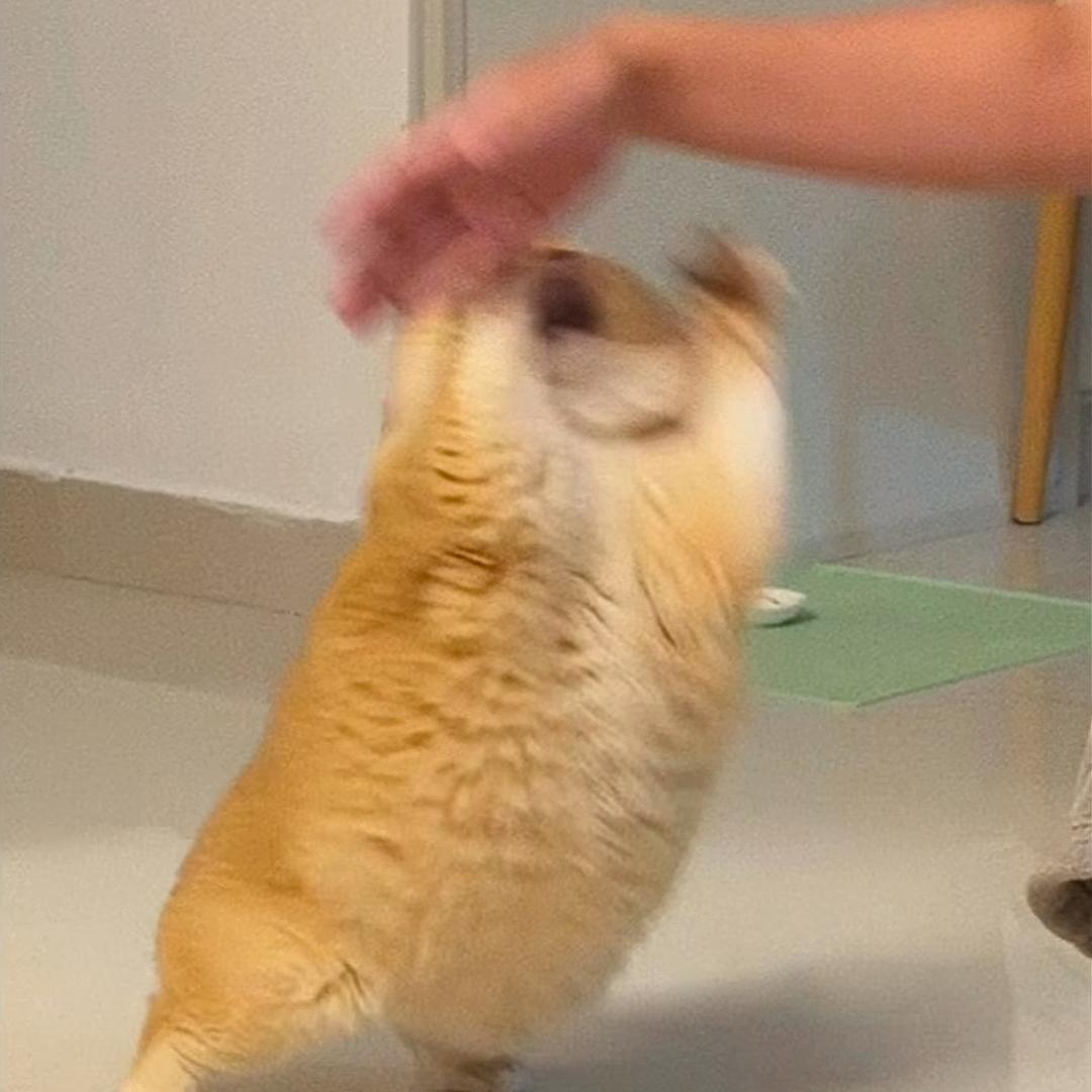 等我逢一场春