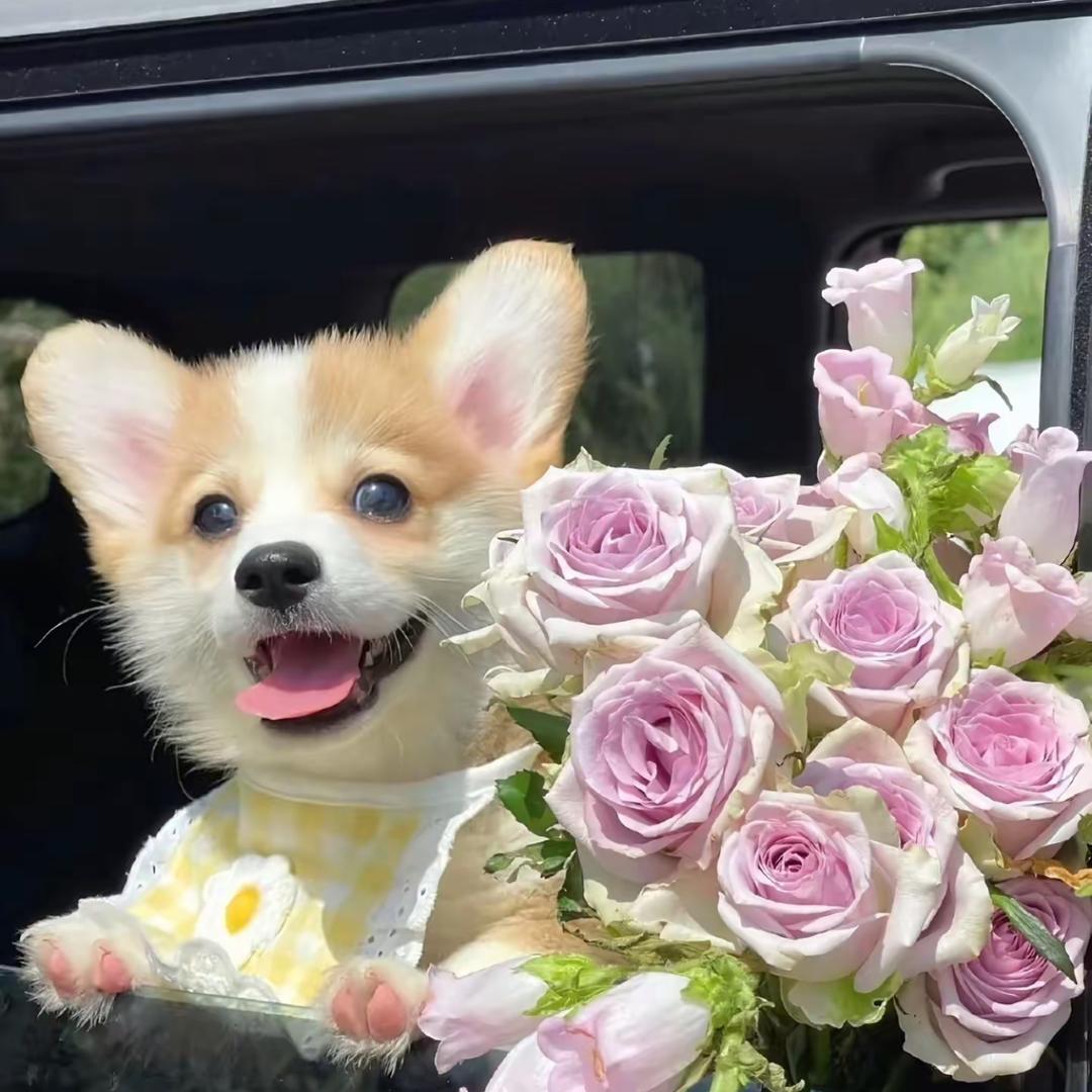 快让我有钱吧