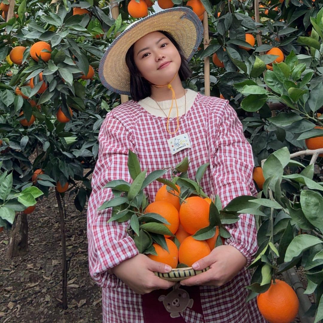向玉家，雷波脐橙果园直供