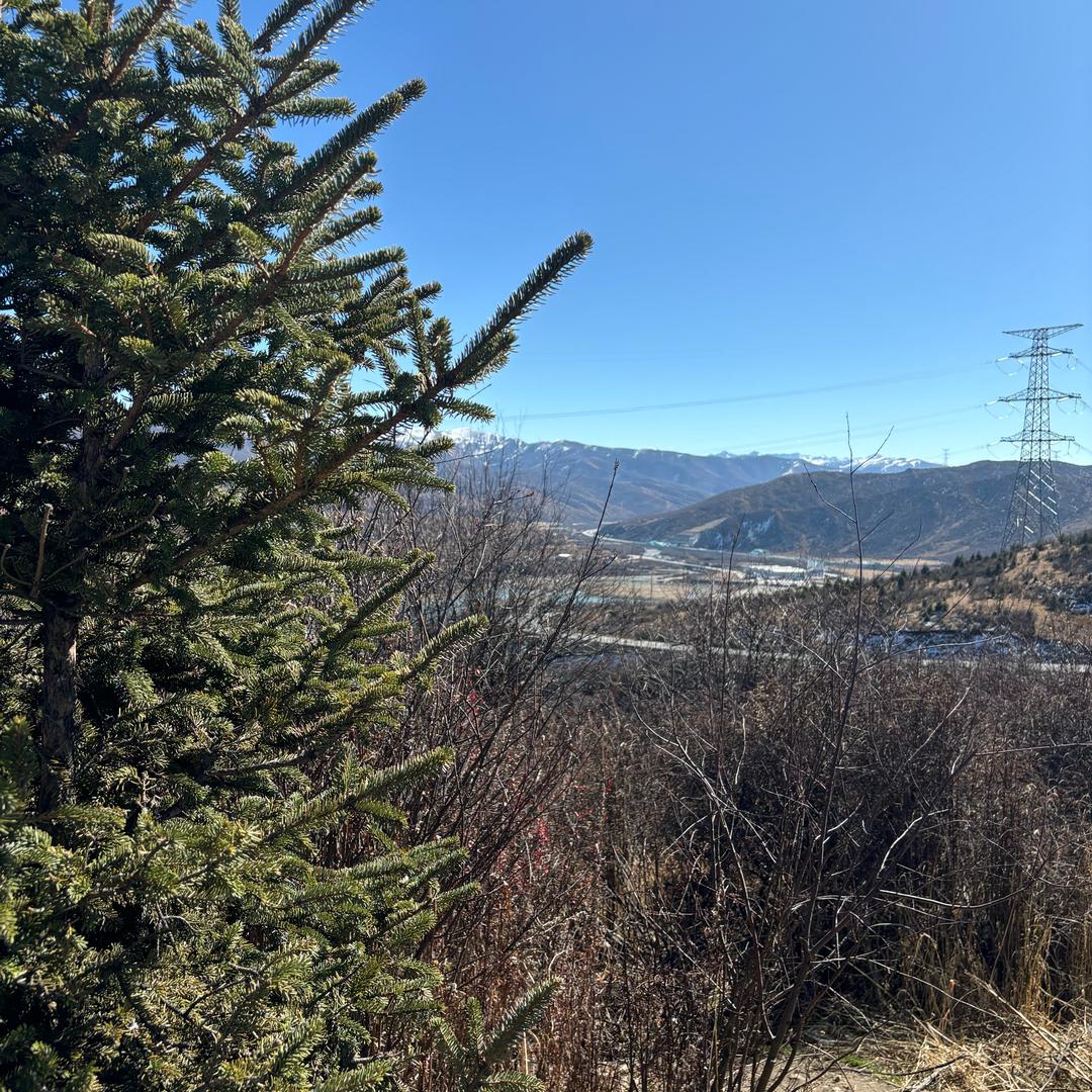 手板心煎鱼给你吃