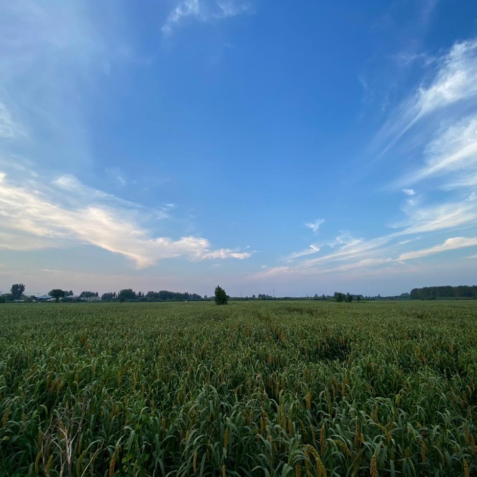 杰米熊潮童店999