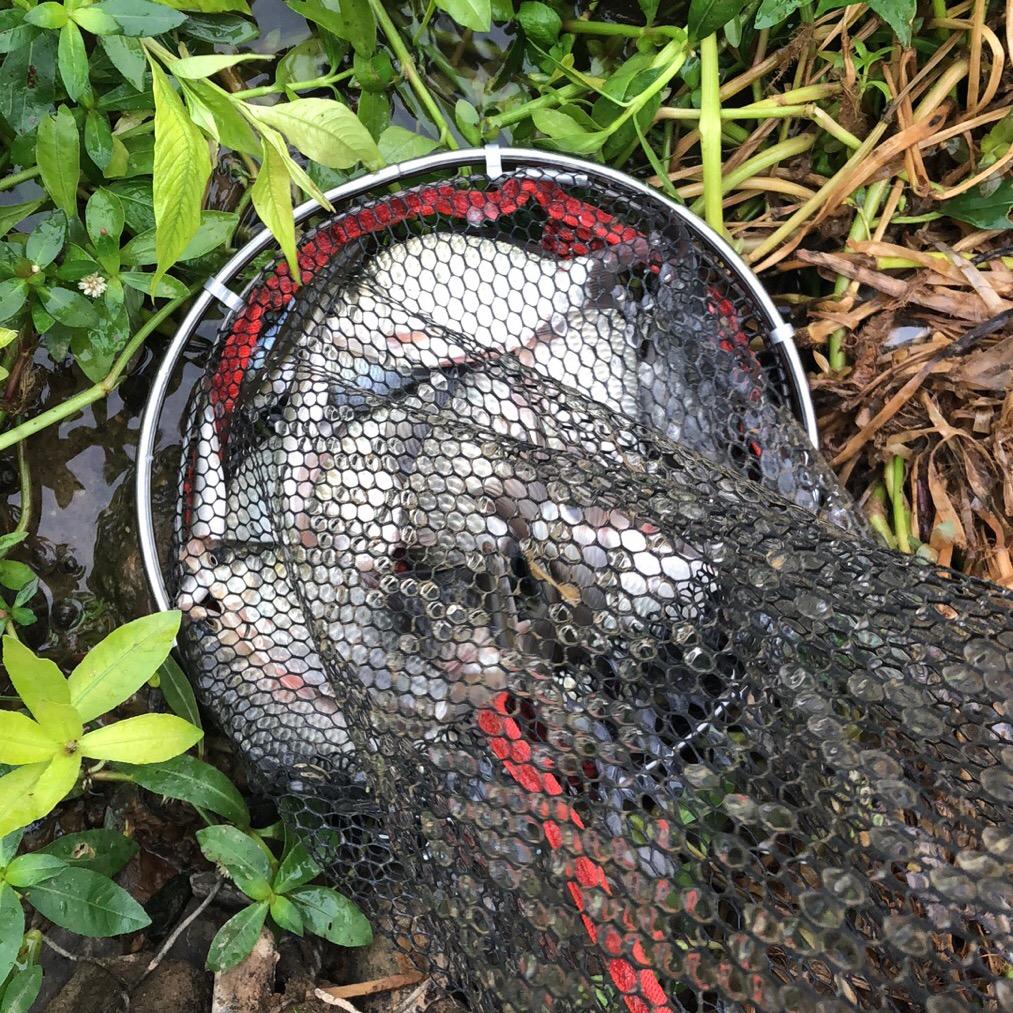 爱钓鱼的棋牌室伙计