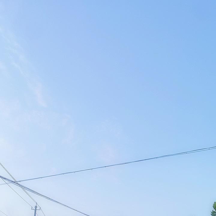 张66❤️