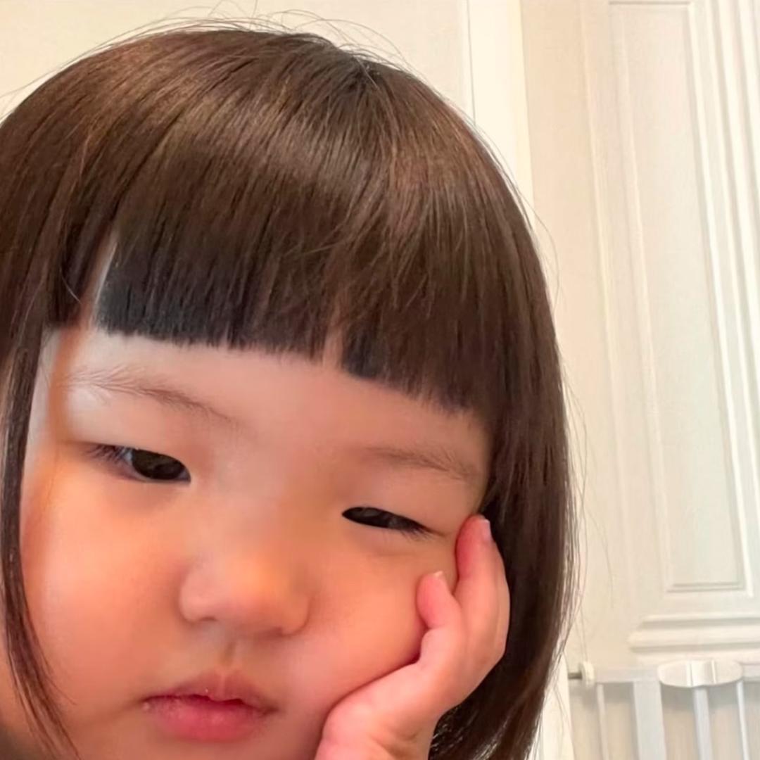 羊儿