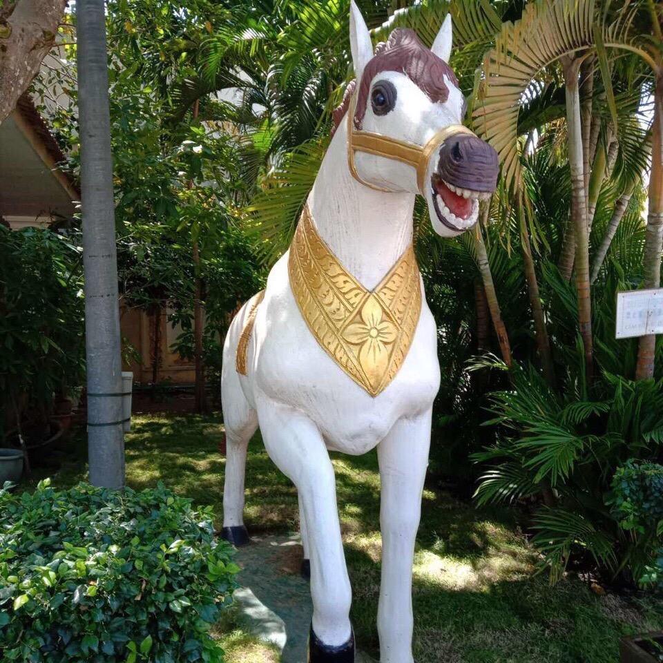 东山再起👌👌👌