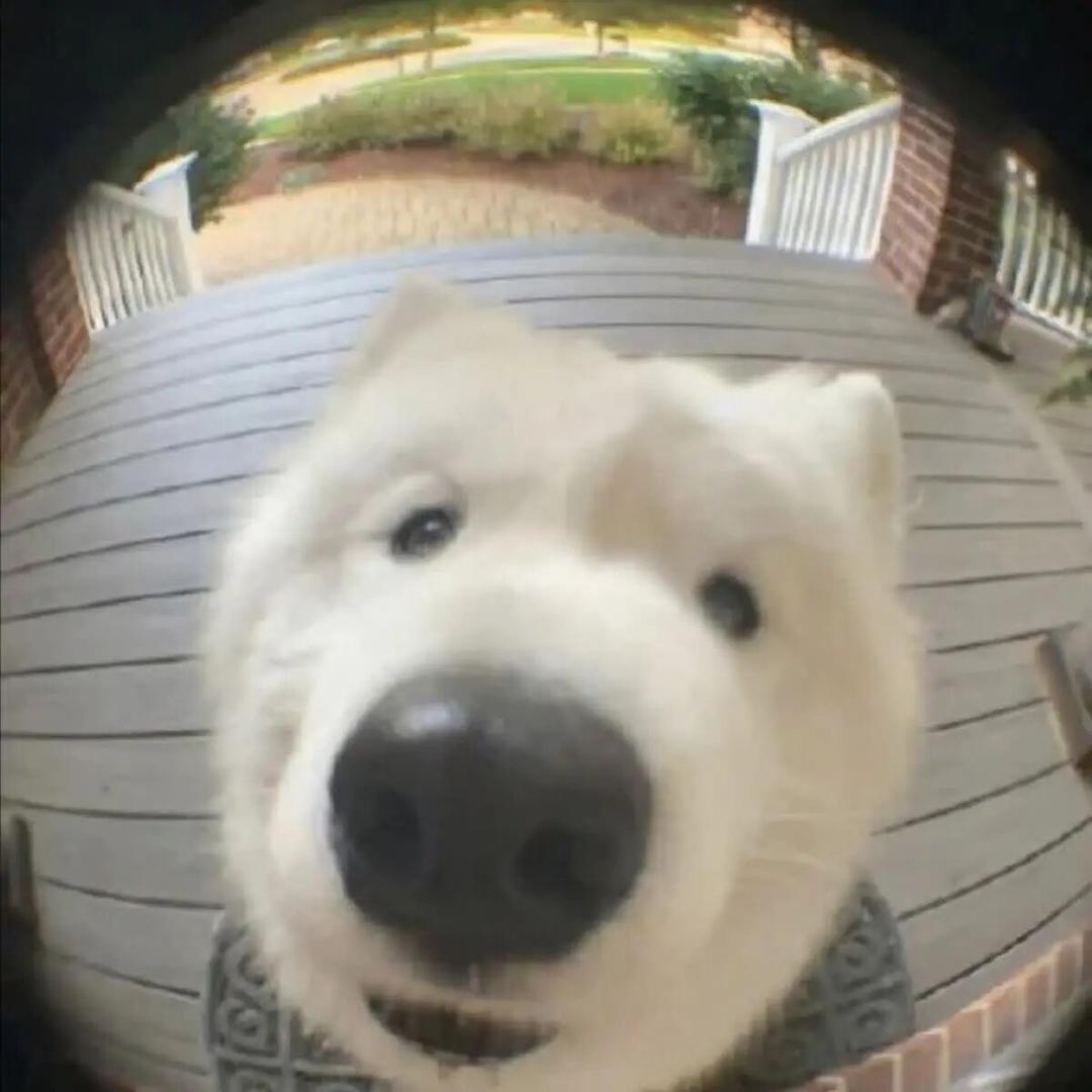 🦴小骨