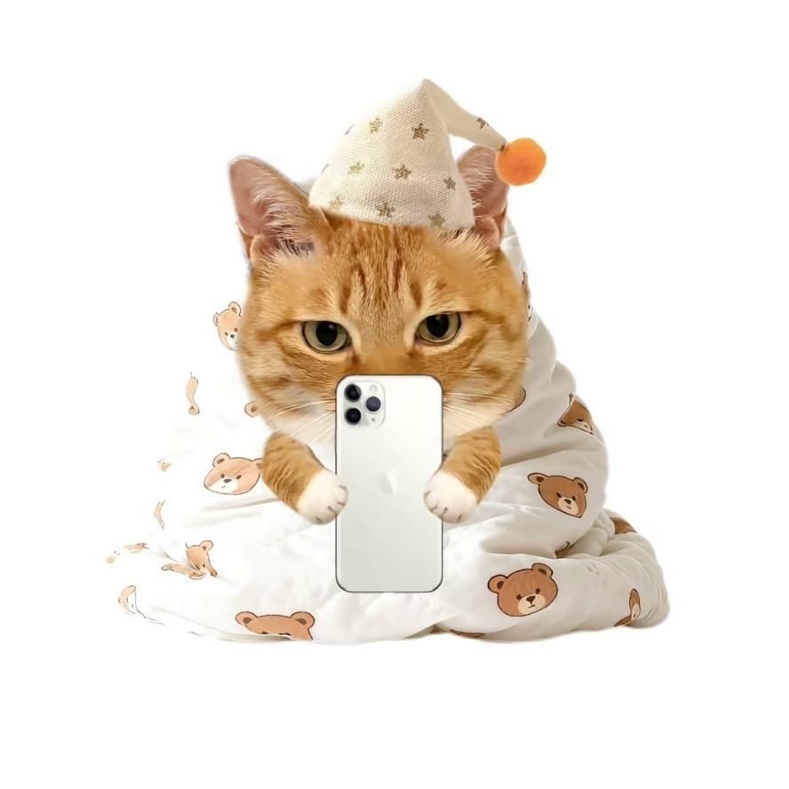 nnnn