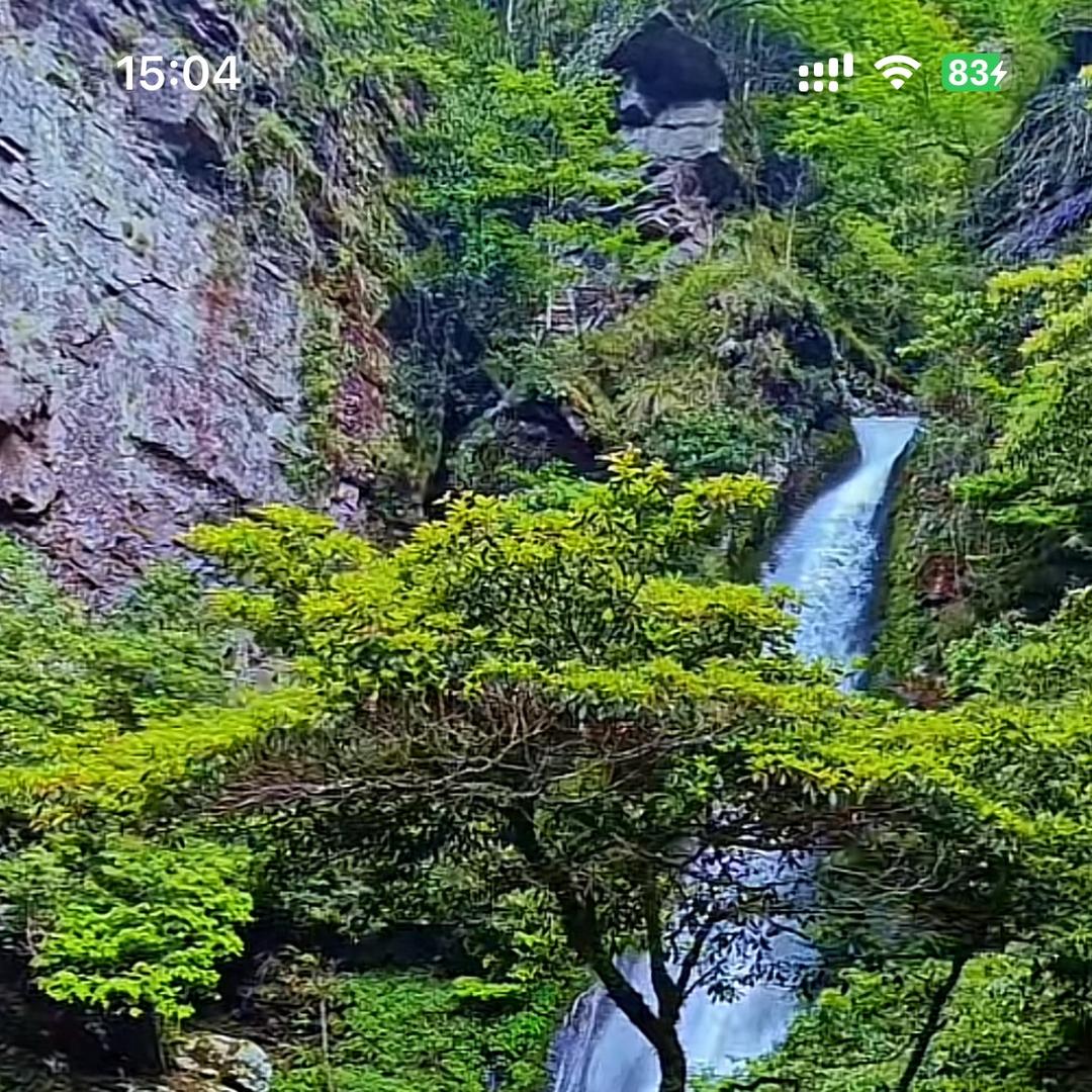 锐锐边境特产