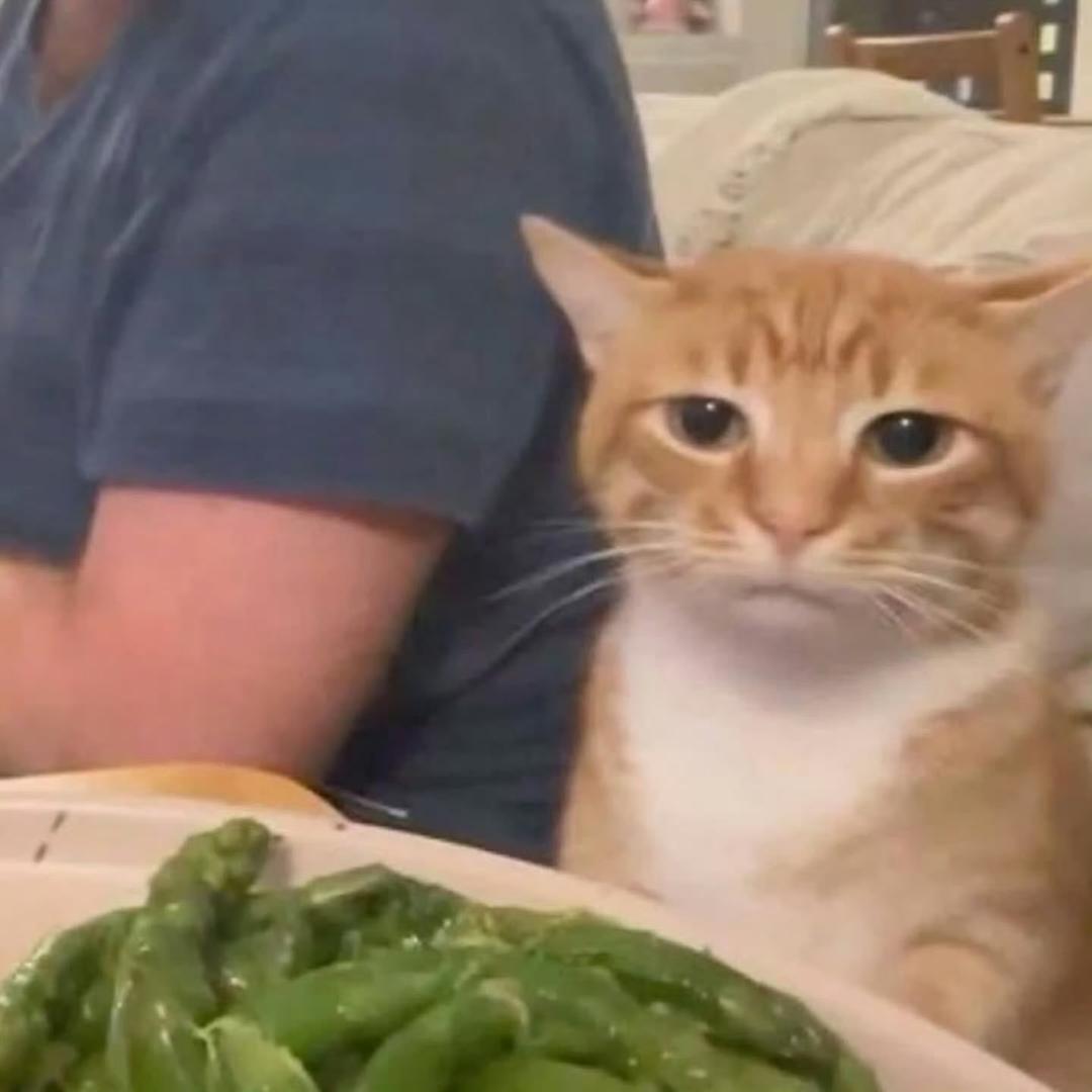 imnotqqqq