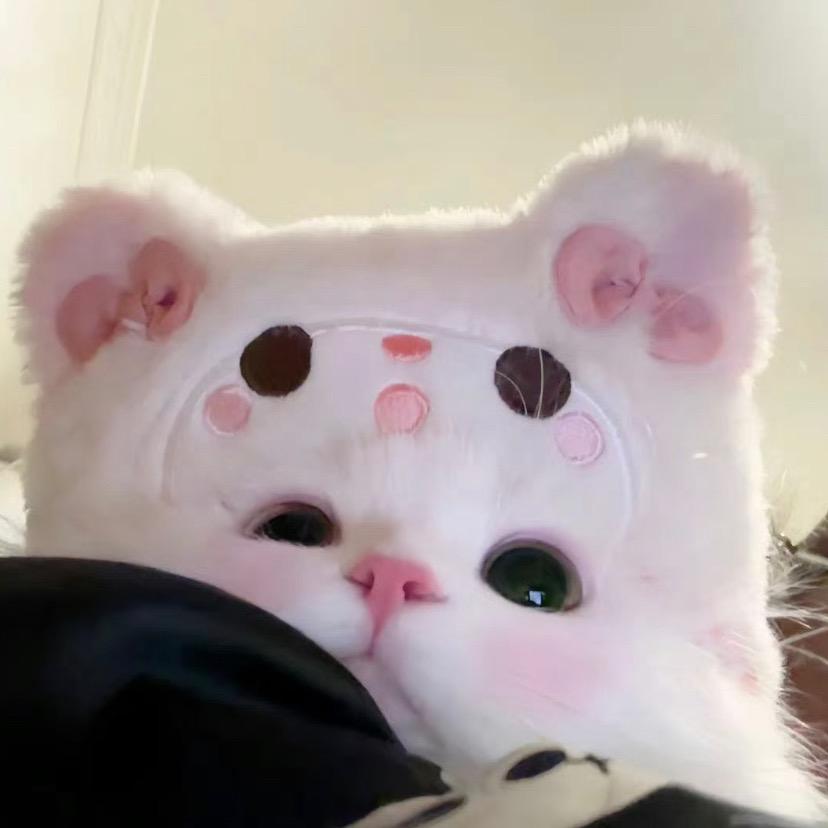我先睡了