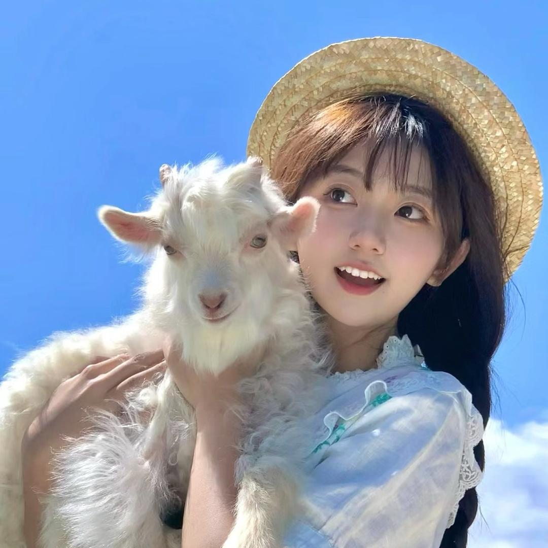 好难一只羊
