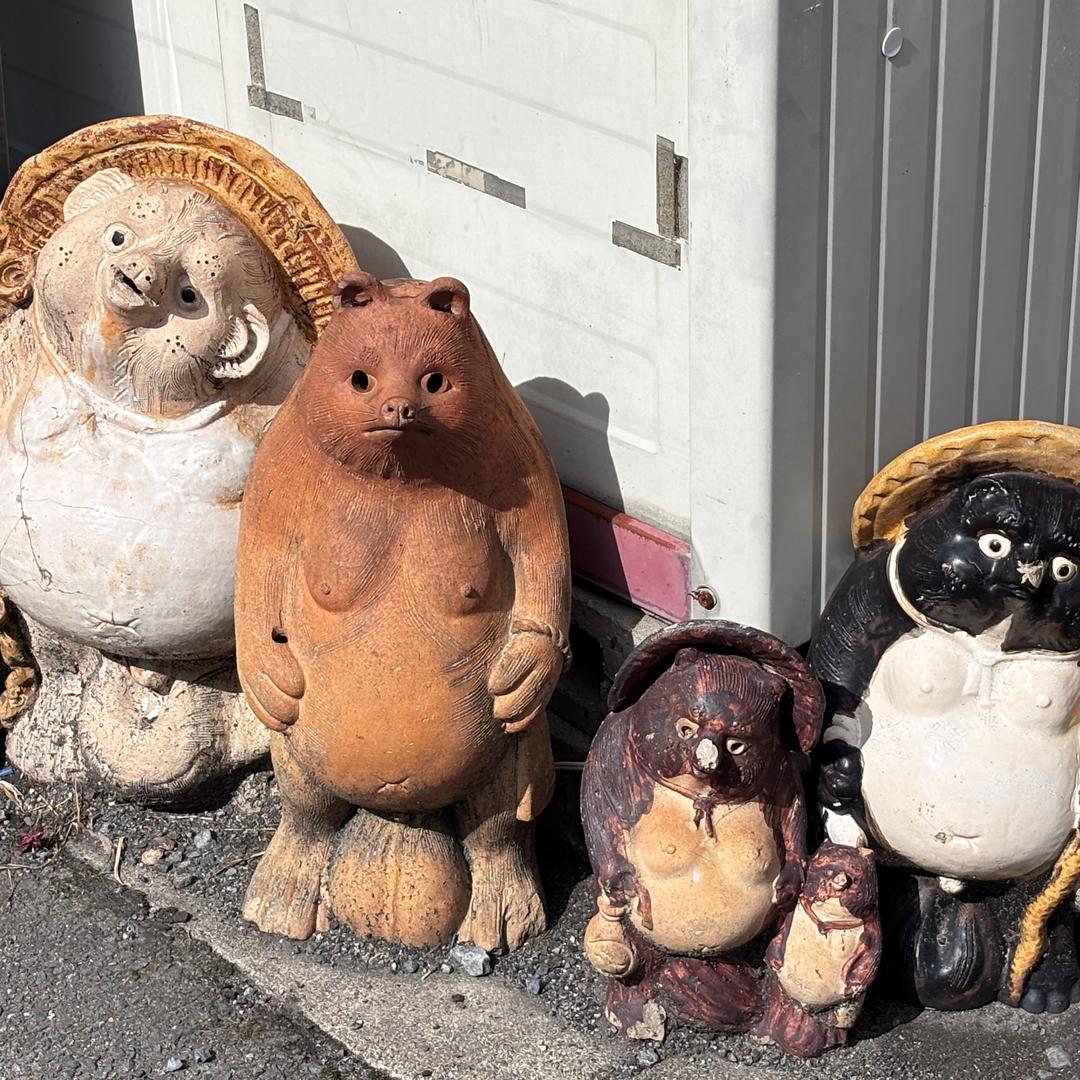 猫一直响该咋办