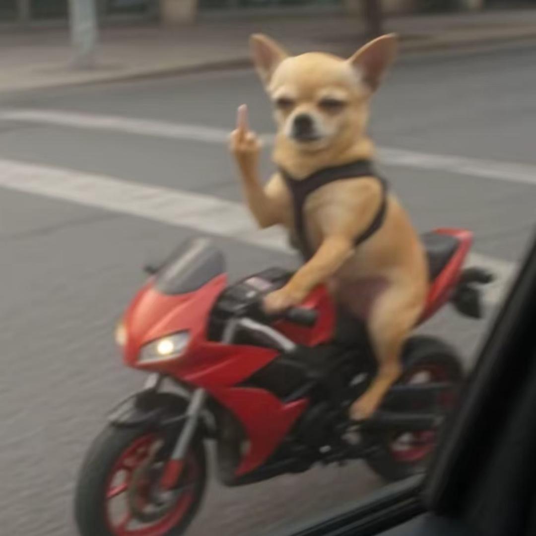 贪吃小蛇