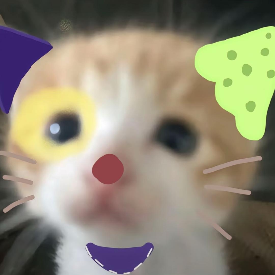 纯爱