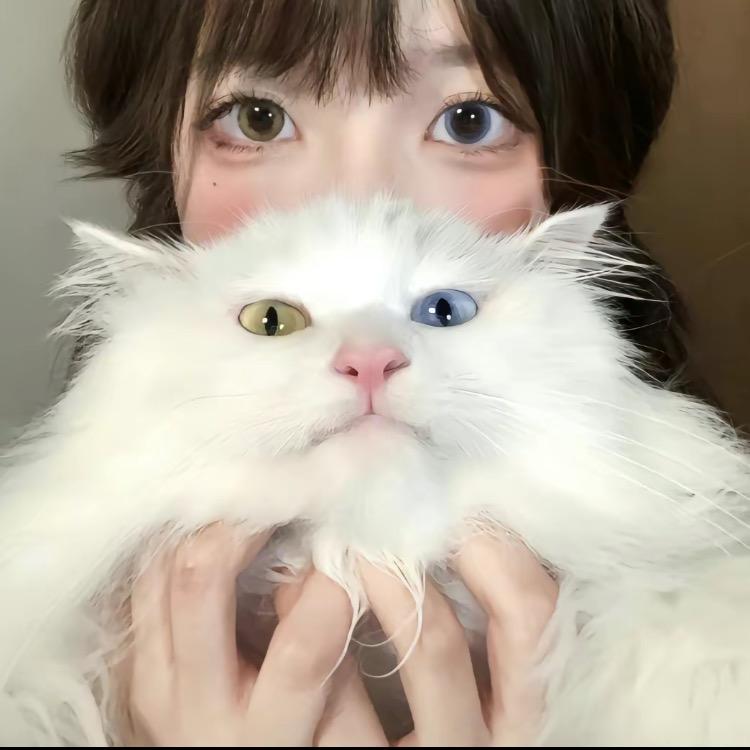 柔灯铃好物推荐