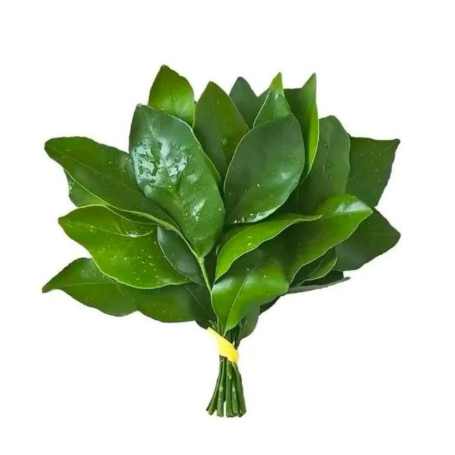 天霸安七（三角洲行动）