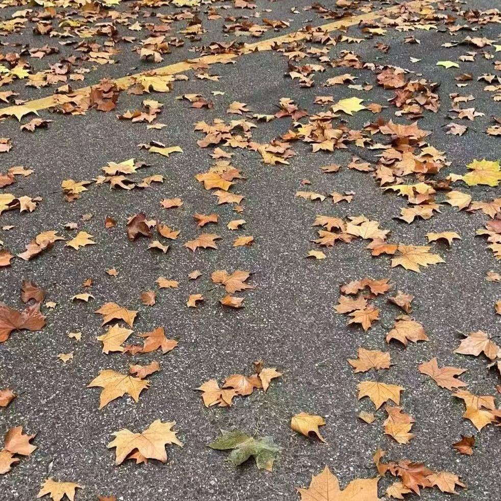 歪呦